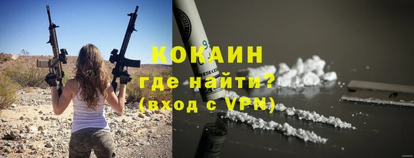 дмт Арсеньев