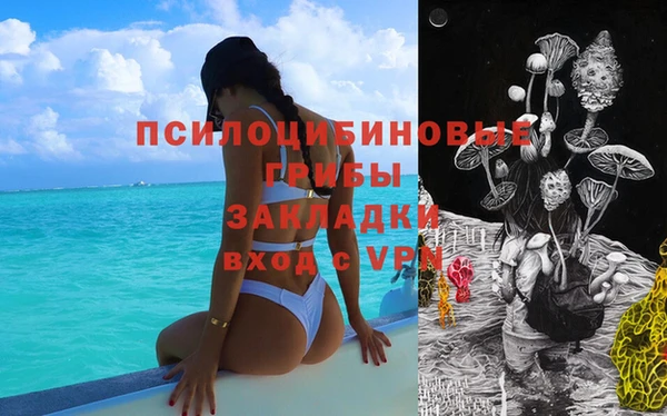 дмт Арсеньев