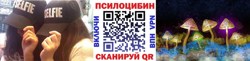 Псилоцибиновые грибы Psilocybine cubensis  блэк спрут tor  Тетюши  как найти наркотики 